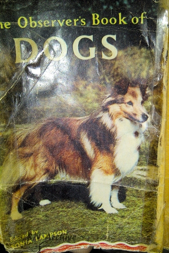 1966 The Observer's Book of Dogs title