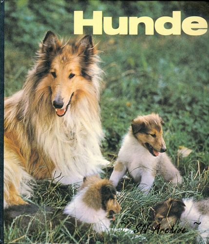 1986 Hunde