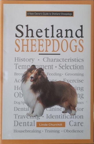 A New Owner's Guide to Shetland Sheepdogs