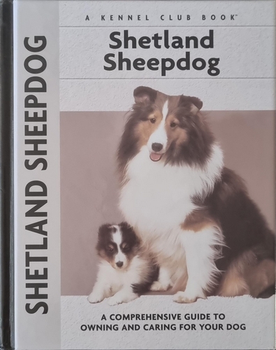 Shetland Sheepdog - KC Edition