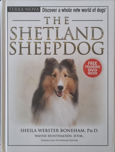 The Shetland Sheepdog