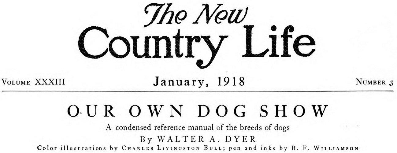 The New Country Life Title
