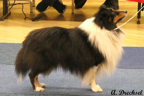 Kindle Passion Black Diamond