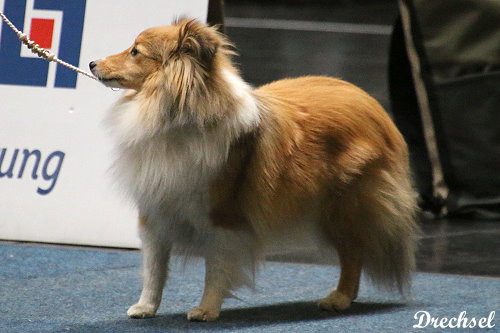 Bo Sophie Herzogin