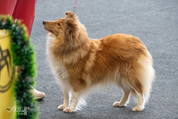 OKH Filippa Fabelhaft vom Affinger Bach