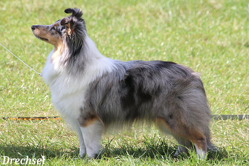 JKH Imogen Ice Onyx Garden