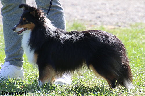 JKH Amideros Law of Attraction