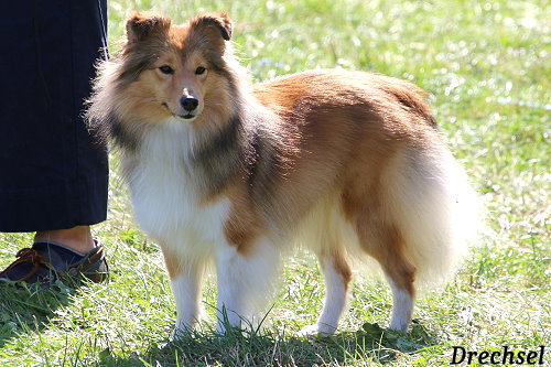 OKH Onlijofloloune's Aurelie