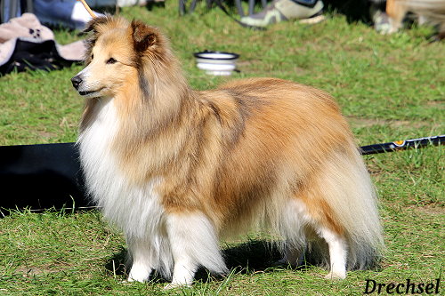 VKH Annazobelle's First Kiss