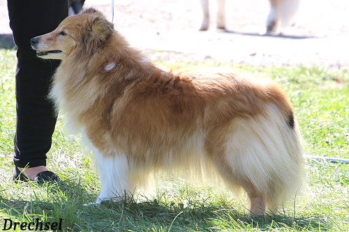 VKH Annazobelle's Image of Love