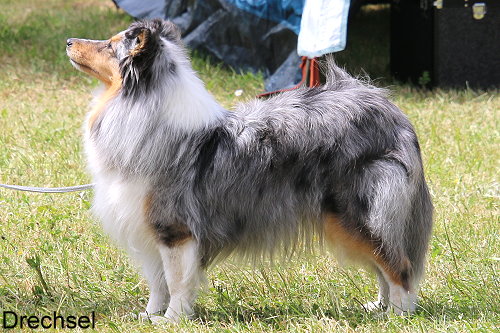 HermineHerzig