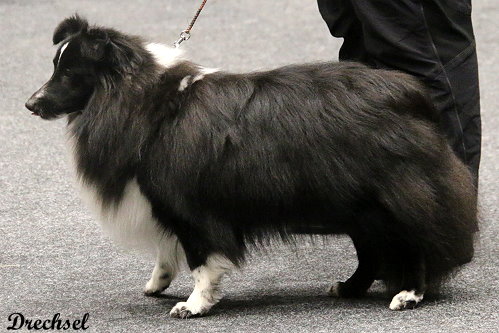 2026.03.14.Offenburg.JKR.Elven Garden Fairy Lantern