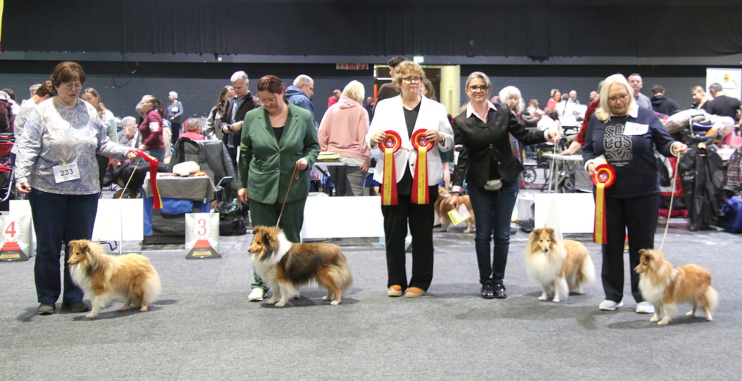 2026.03.15.Offenburg.Gewinner