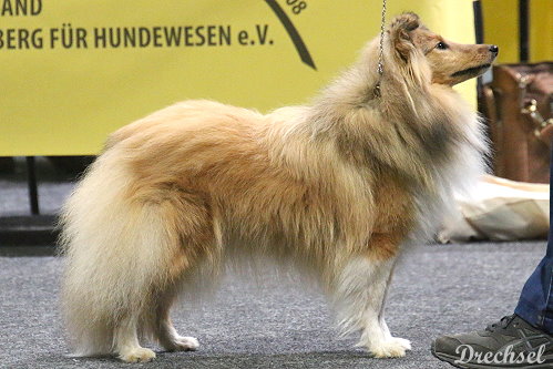 2026.03.15.Offenburg.JKH.Wendy von der Saarhöhe